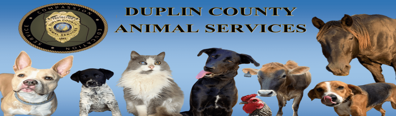 Duplin County Animal Services banner photo of cats, dogs, cows, horses and chickens.