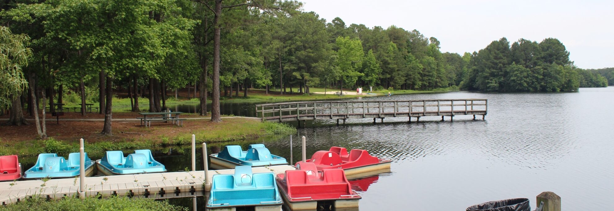 Cabin Lake Activities