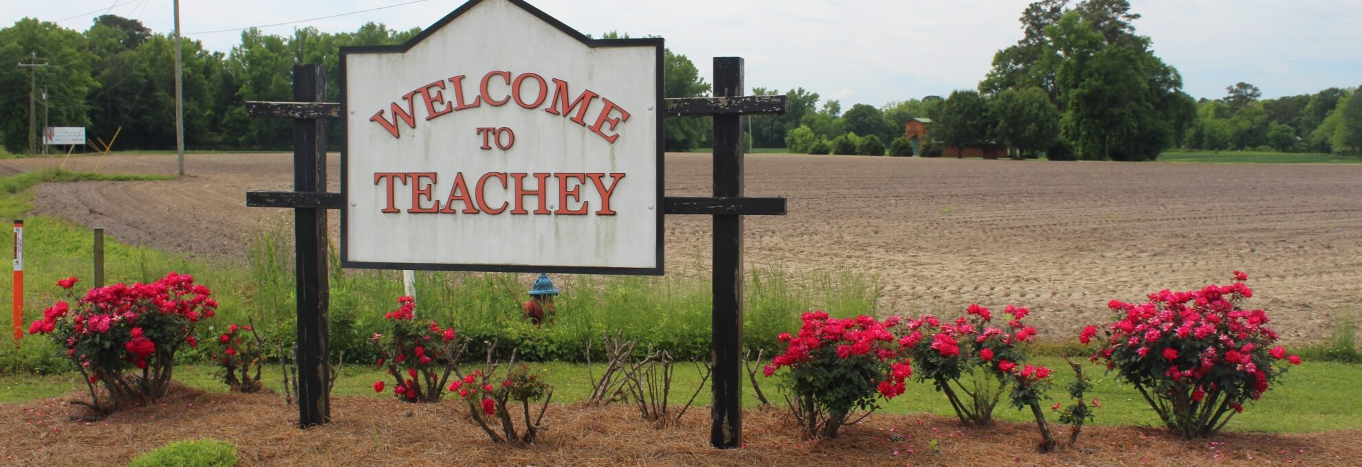 Welcome To Teachey