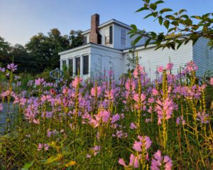 Photo of the Cowan museum Wet Meadow.