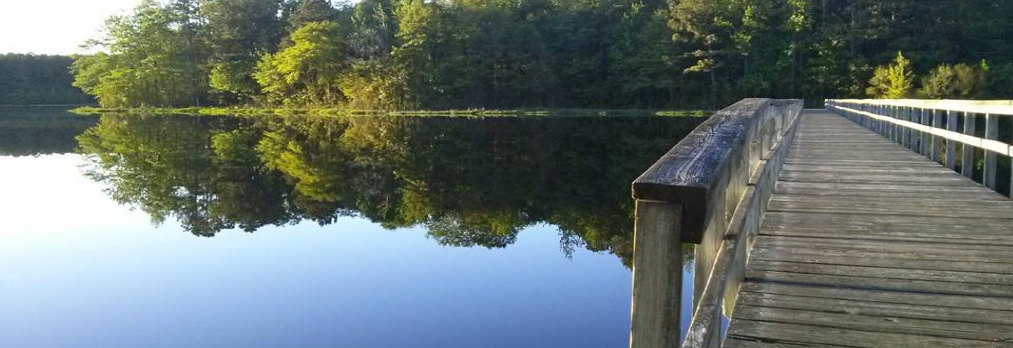 Cabin Lake Bridge