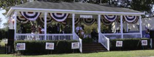 Veterans Day parade stand